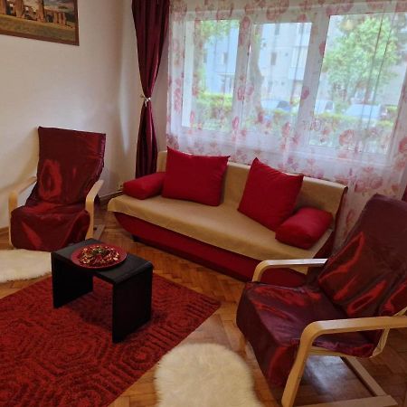 Petuniei Apartment Brašov Exteriér fotografie