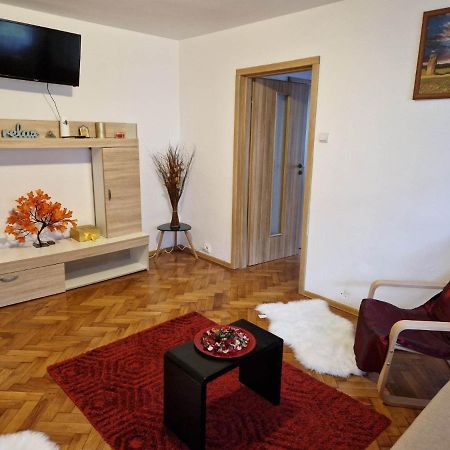 Petuniei Apartment Brašov Exteriér fotografie