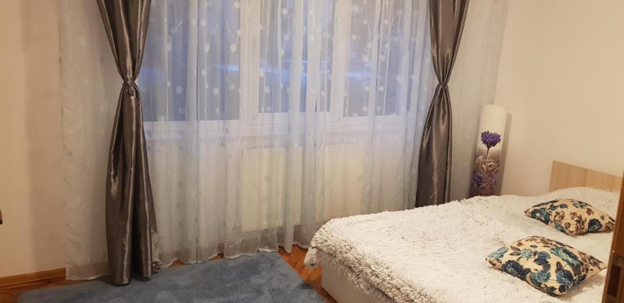 Petuniei Apartment Brašov Exteriér fotografie