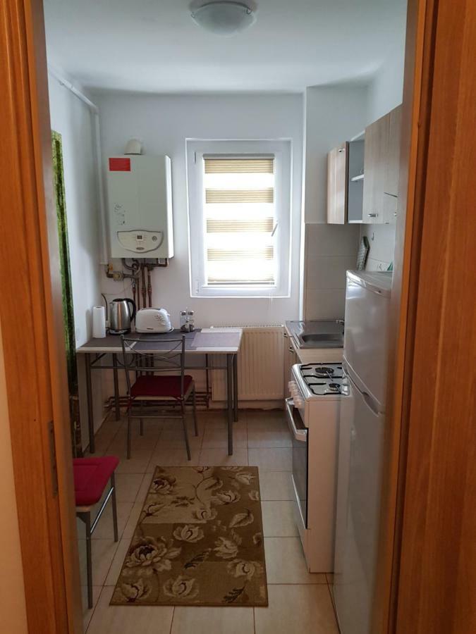 Petuniei Apartment Brašov Exteriér fotografie