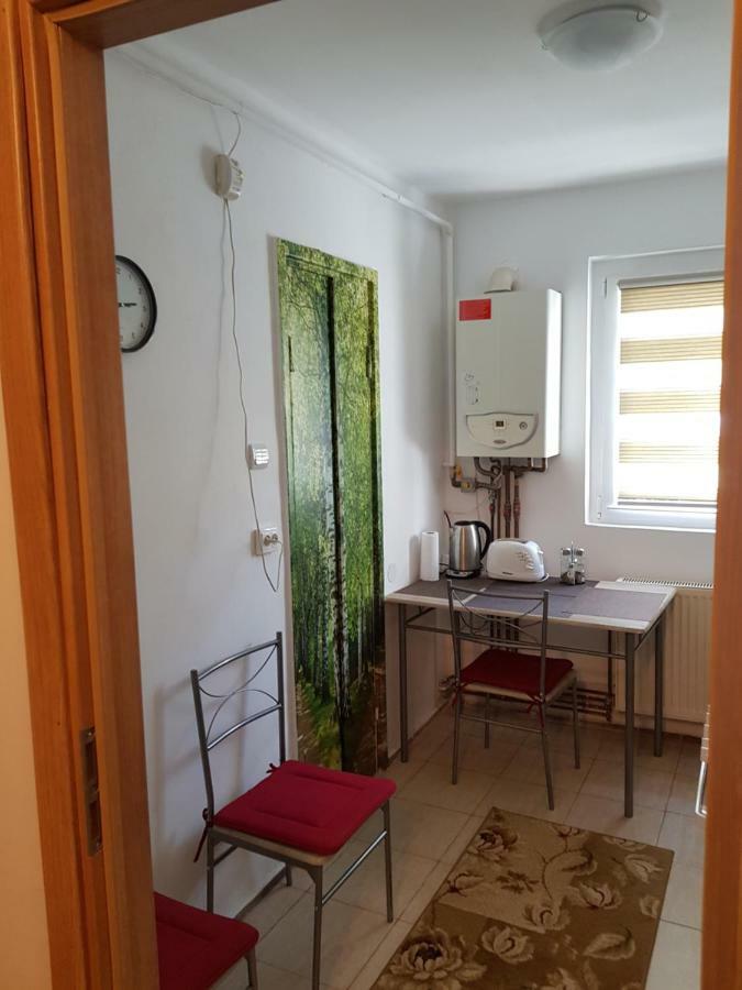 Petuniei Apartment Brašov Exteriér fotografie