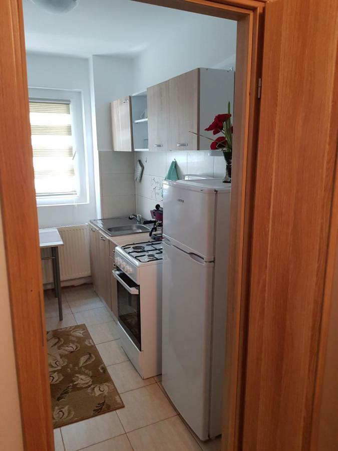 Petuniei Apartment Brašov Exteriér fotografie