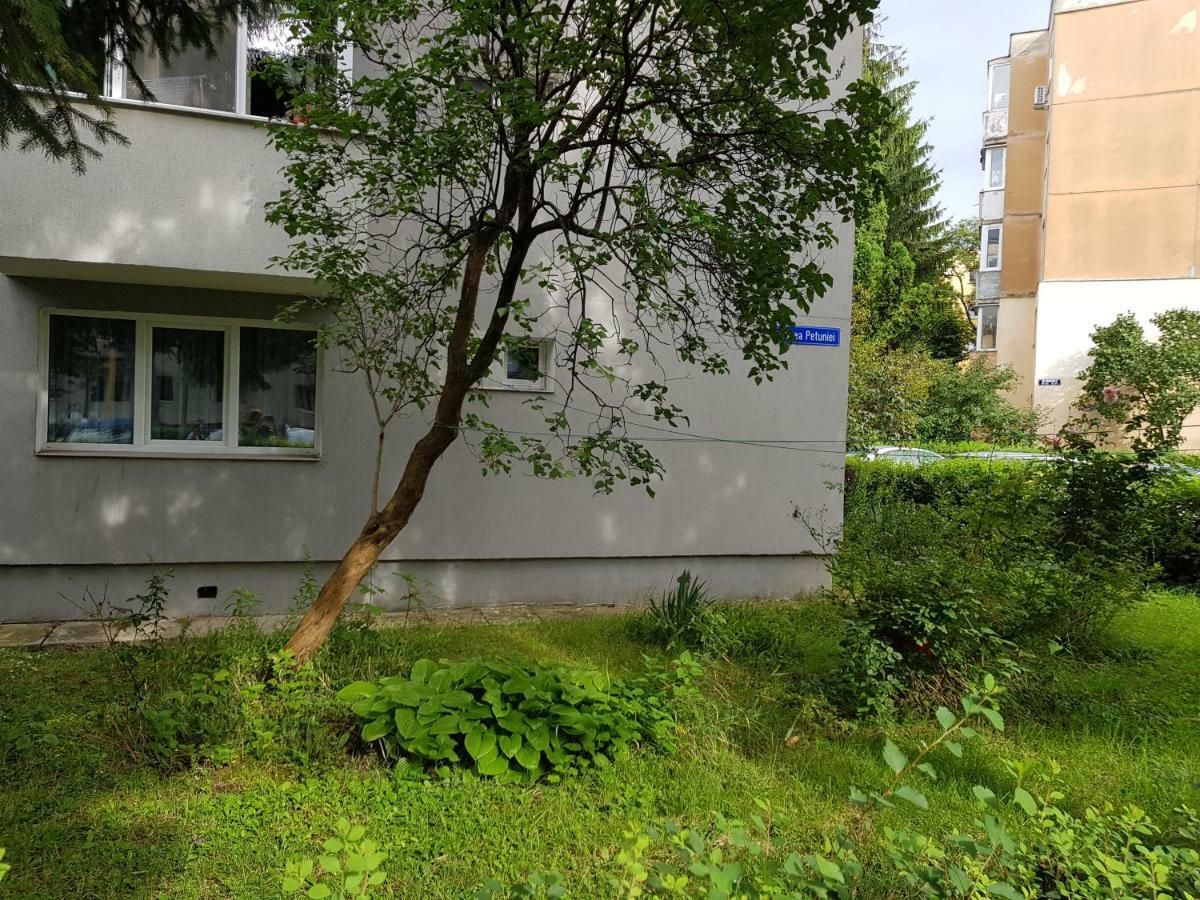 Petuniei Apartment Brašov Exteriér fotografie