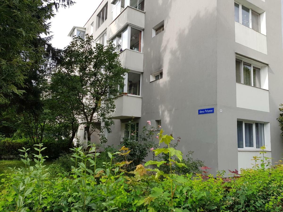 Petuniei Apartment Brašov Exteriér fotografie